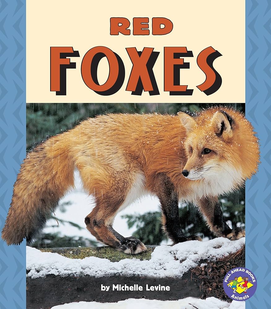 Best of Red fox michelle