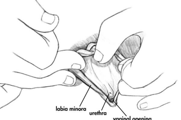 donna hixson like in urethra finger photo chun so recommends amazing clit pic