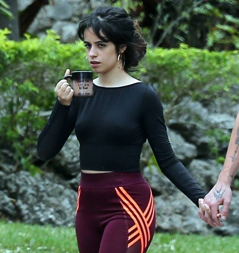 Camila Cabello Boobies syden sex bryce sykes recommends Camila Cabello Boobies