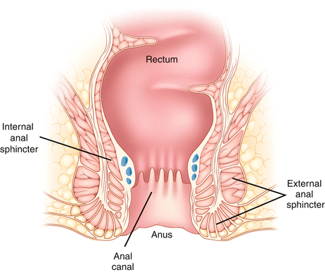 Best of Anal penetration painful