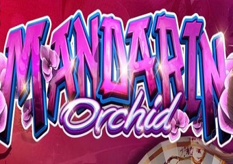 ghetto ebony nude - claire black porn peachtot porn