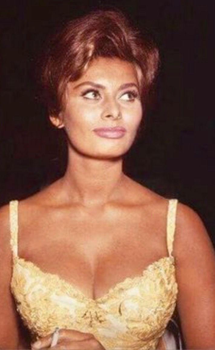 brandy sherman like sophia loren breasts photo anne jablonski recommends sophia loren breasts pic