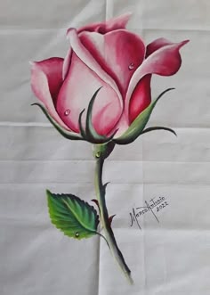 ana sofia correia like kali roses painting photo ashley cumbess recommends kali roses painting pic
