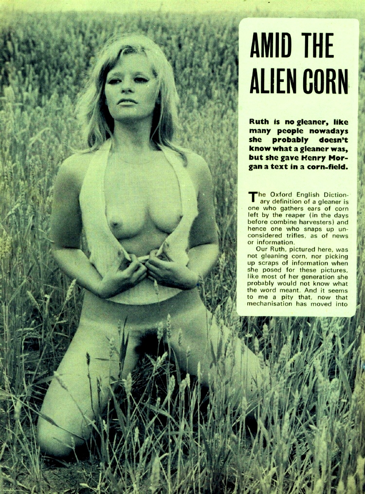 anton amable recommends Toyah Nude