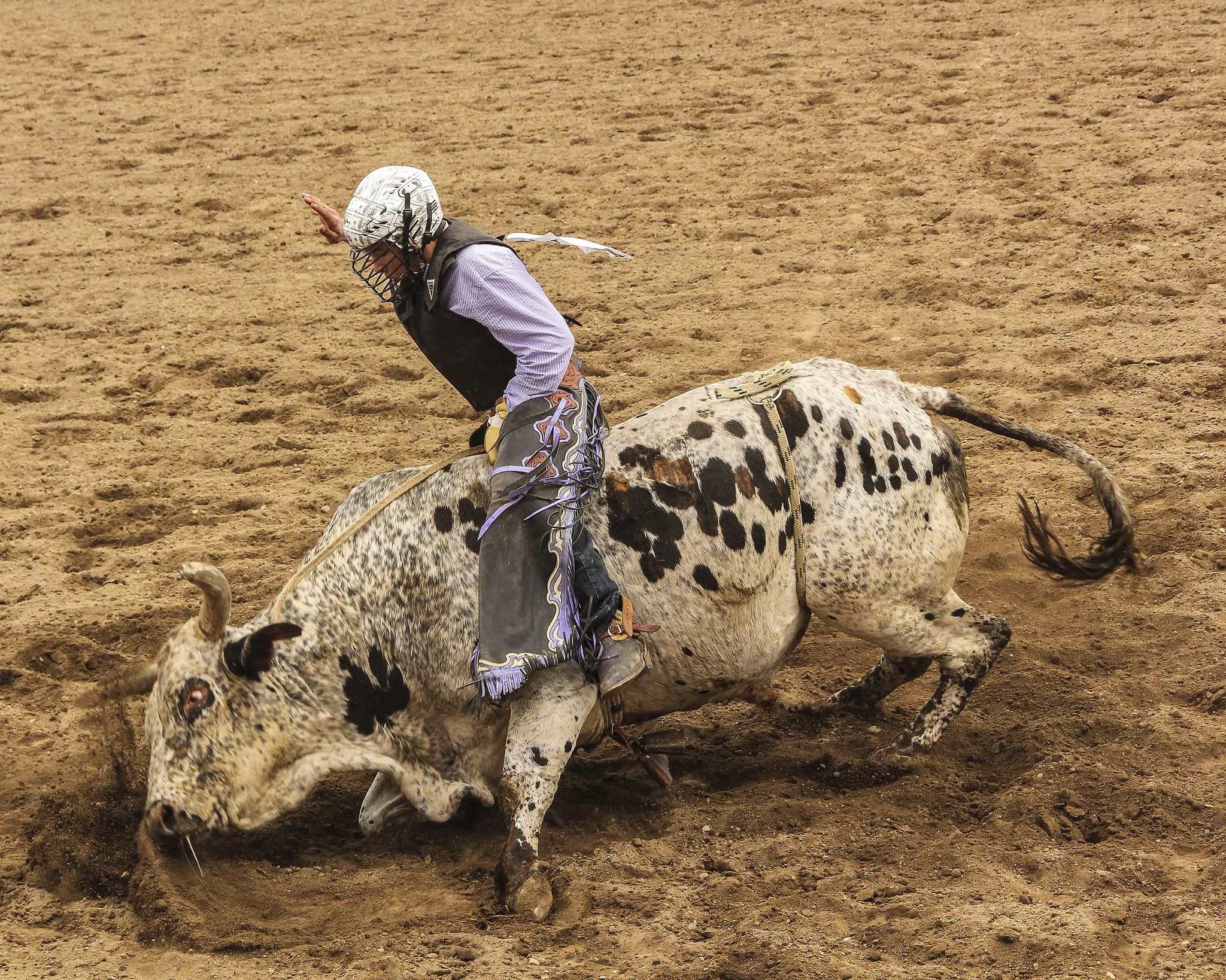 nude bull riding - hartley porn josephine jackson nurse