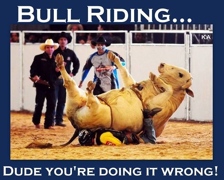nude bull riding - ebony foorjob gloryhole first timers