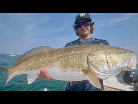 Best of natural nude families alvin carpio share dreamy bull fishing video photos