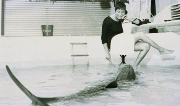 daniel aney like porn dolphin and human photo arjay borromeo recommends black ameture anal pic
