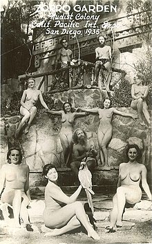 Top pics of darrell connell's XXX archive arif hs add photo