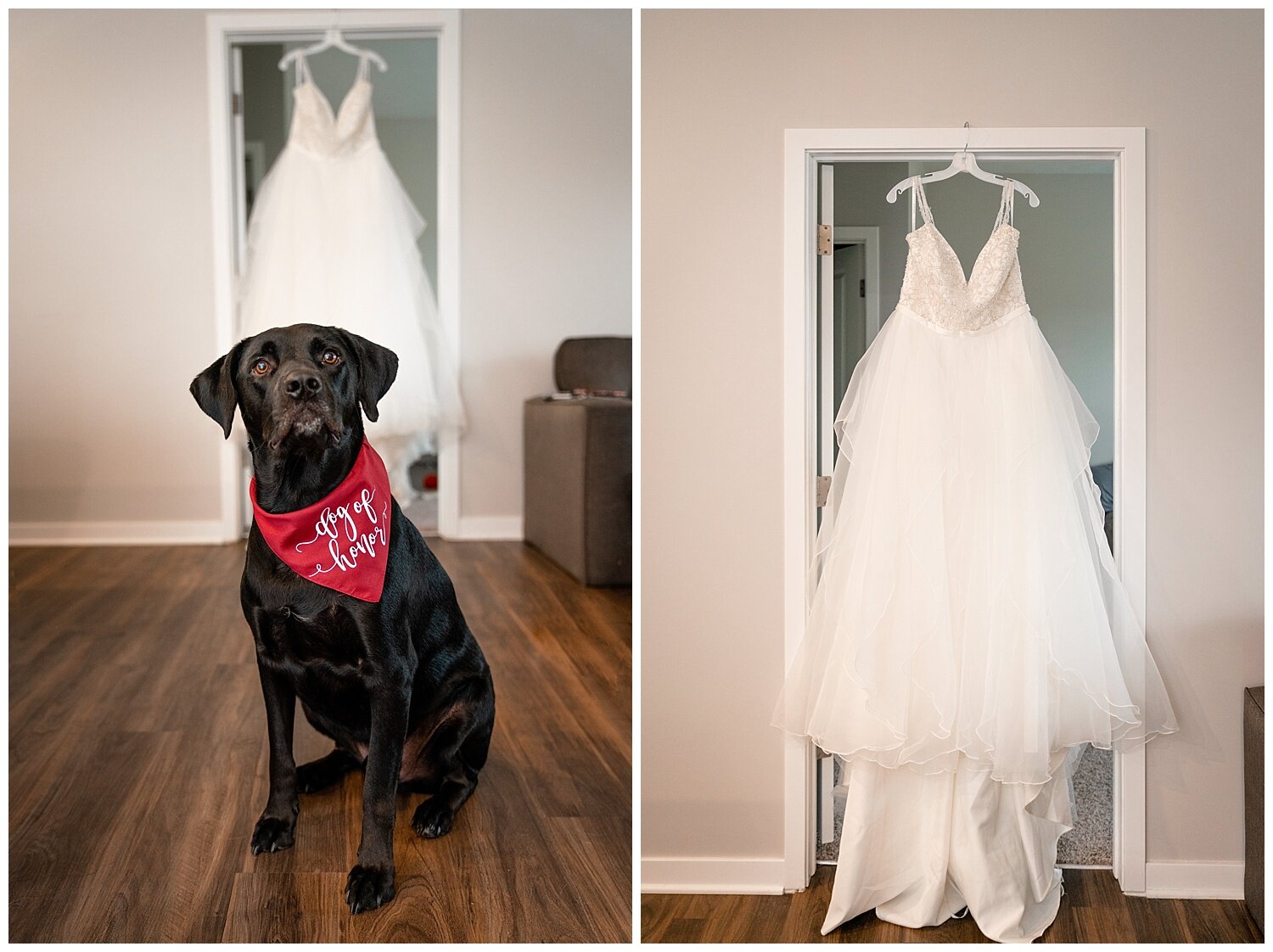 amber benedict like ashley and dakota photo ann e baker recommends ashley and dakota pic