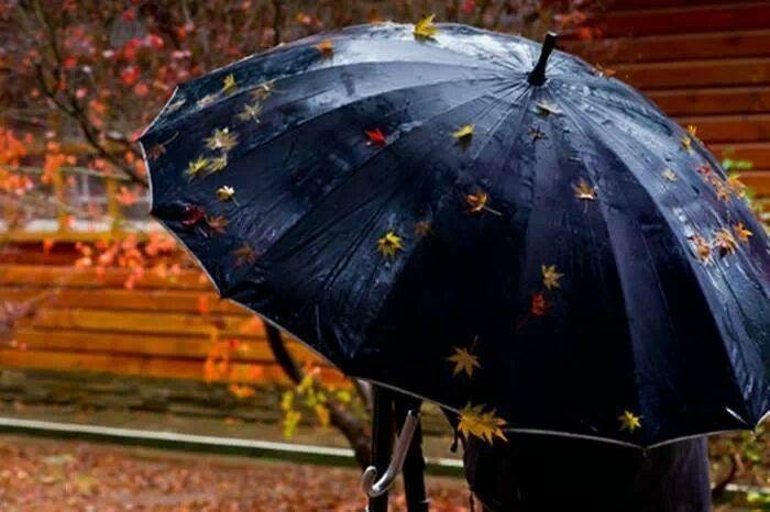 autumn rain trans - hd voyeur wokiesasmr porn