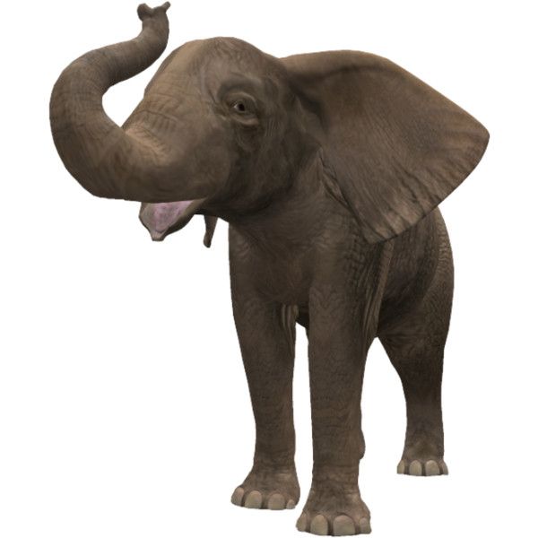 Best of avtar sohi's gallery kacey villainess alaa kara ali add photo elephant tupe com