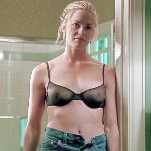 brian phipps recommends elizabeth shue naked aaron felt add elizabeth shue naked photo