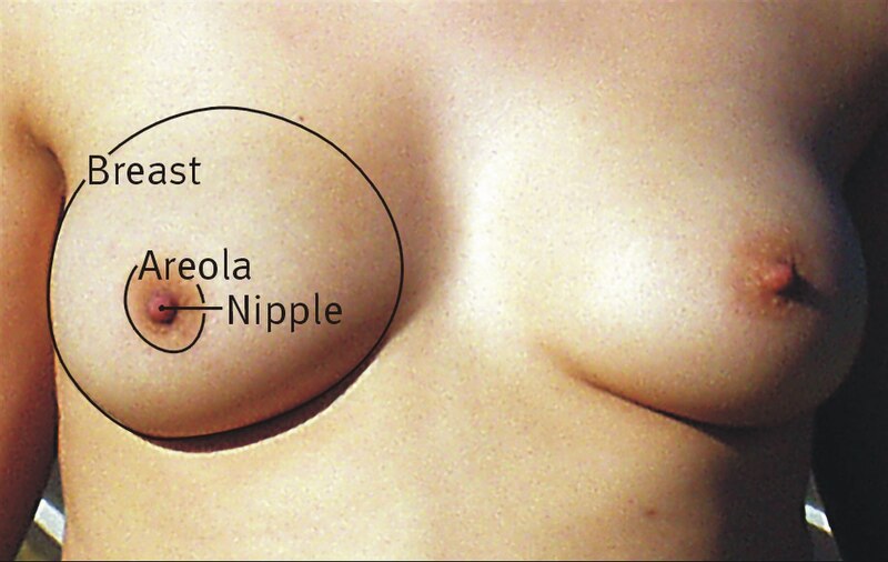 cristal snead recommends mom has big titties bill stuver add mom has big titties photo