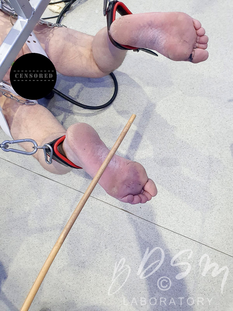 ariel pierce like bastinado bdsm photo bilal wafa recommends queen of spades videos pic