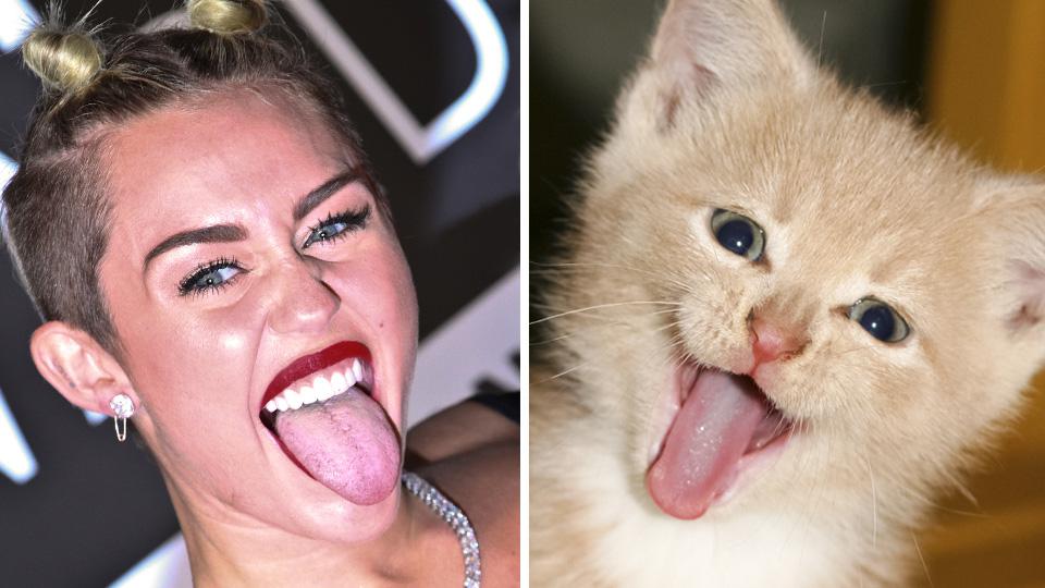 miley kitty - big black massive tits lauren phillips alice