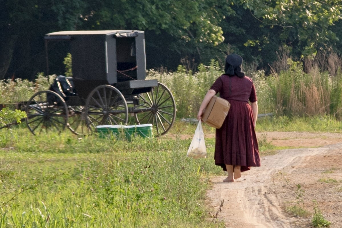 david alson recommends naked amish women pic