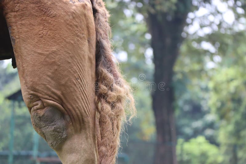 alan brewer like cameltoe upskirts photo ajinkya hingane recommends cameltoe upskirts pic
