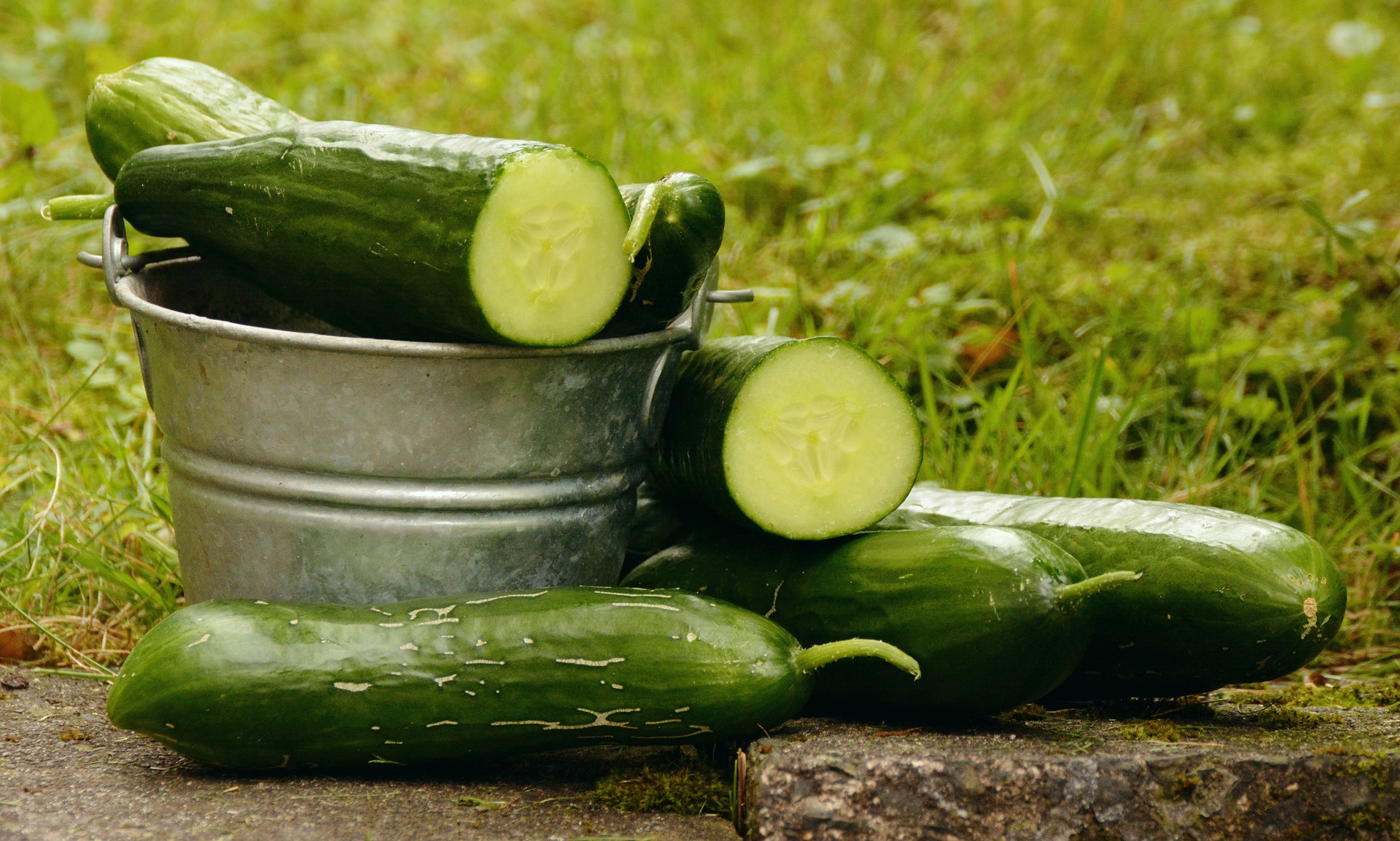 Best of Cucumber masterbation
