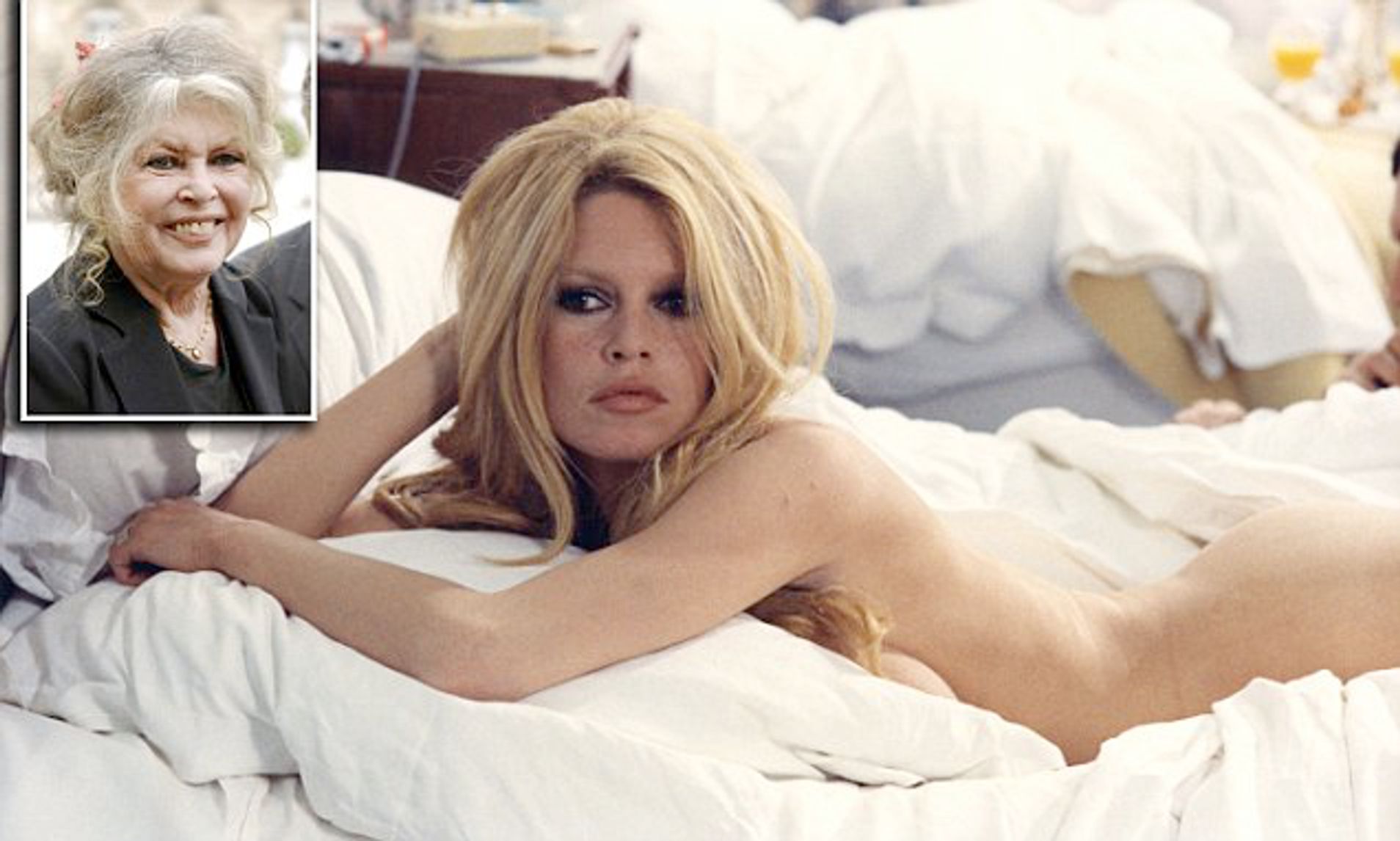 Top pics of debbie hannibal's XXX archive don ikeler add photo