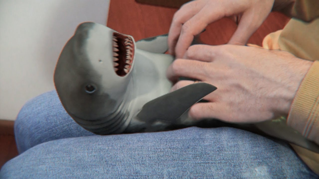 skylar shark porn - erotic asmr asian panty flashing
