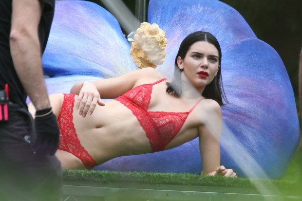 donald bernardo recommends Kendall Jenner Pusy