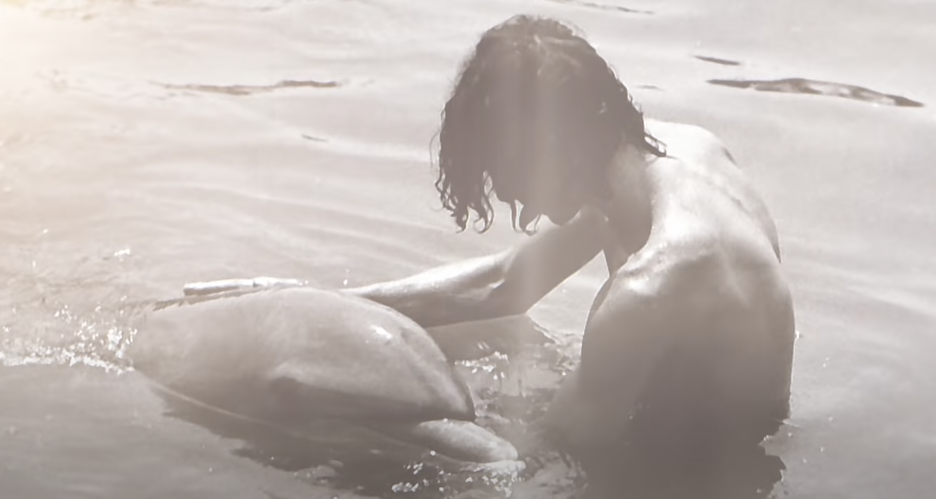 celeste weber like dolphin and human porn photo bahman alipoor recommends dolphin and human porn pic