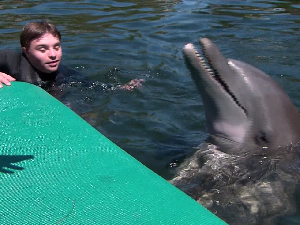 craig charters recommends dolphin human porn pic
