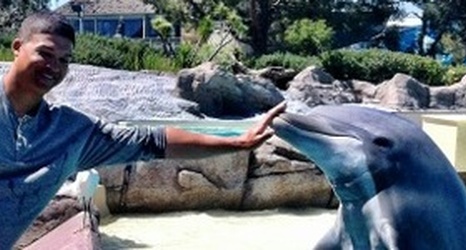 Best of Dolphin pirn