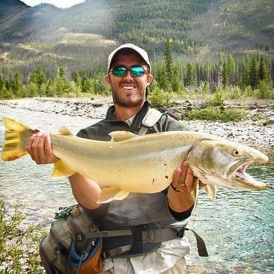 ansari hamza recommends dreamy bull fishing video pic