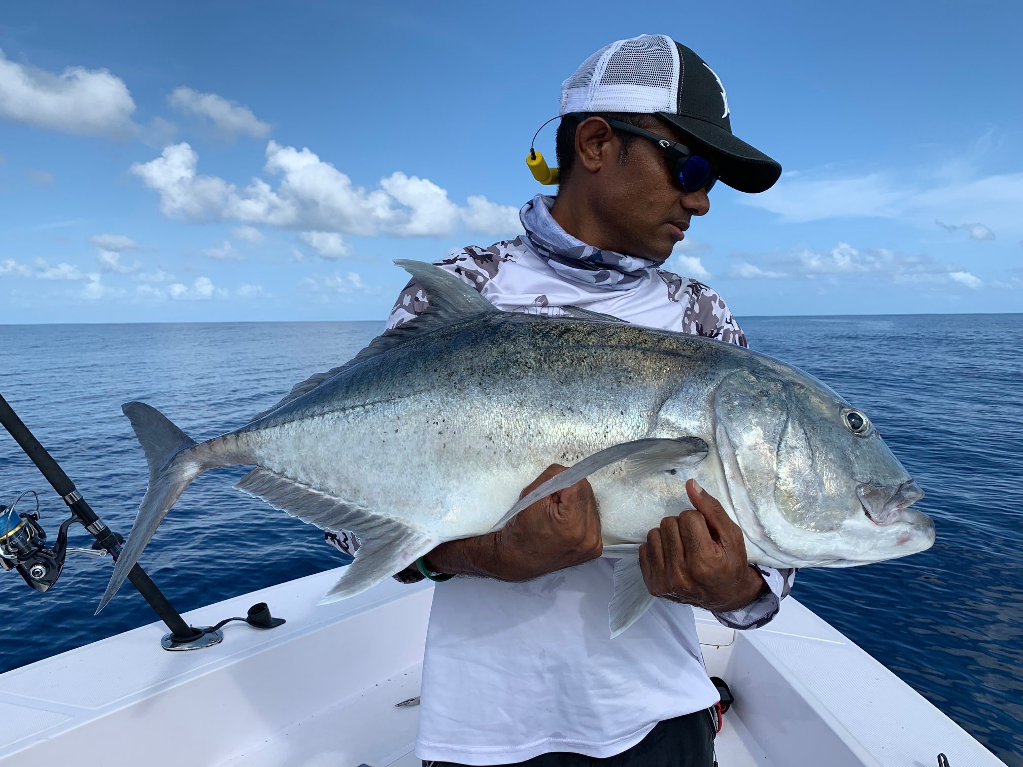 ana ruxandra like dreamy bull fishing video photo doris deloso recommends dreamy bull fishing video pic