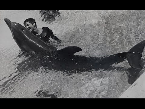 brenda mummert recommends Dolphin Human Porn