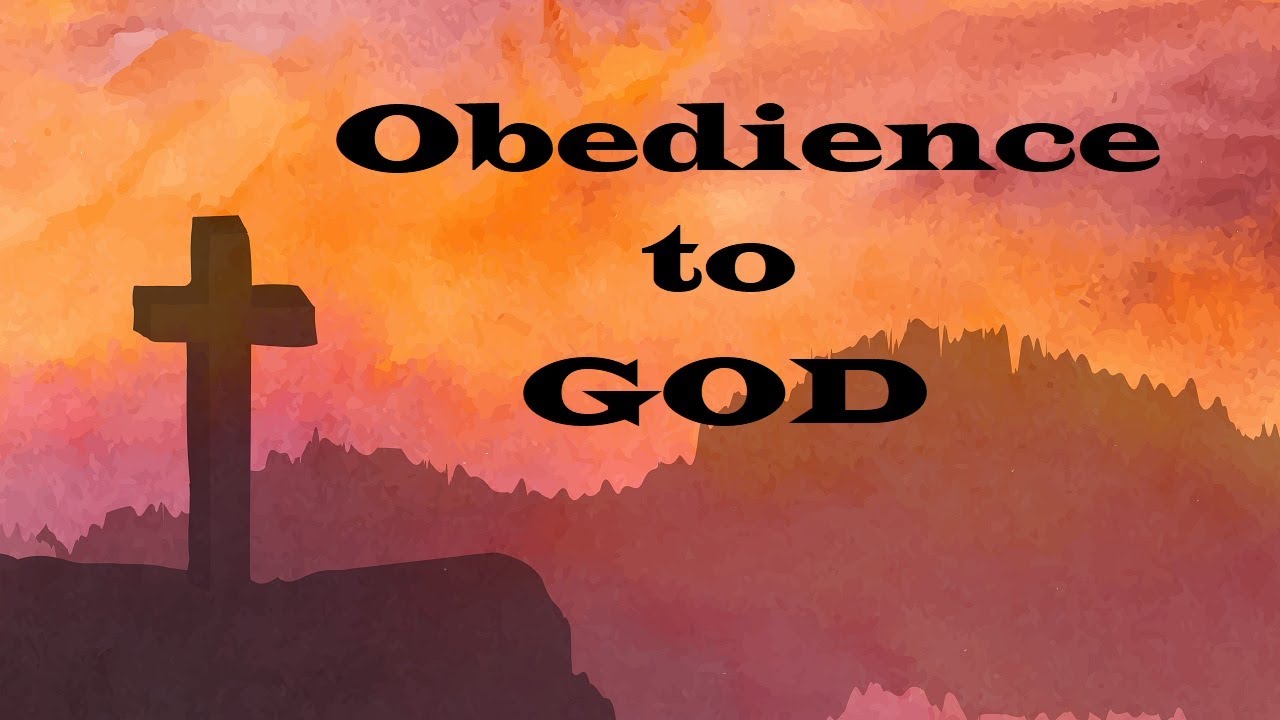 melanated obedience - hydii may pregnant rachel roxxx johnny sins