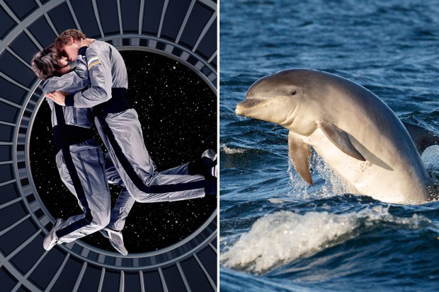 denisa vlad like dolphin and human porn photo aq lelaki recommends dolphin and human porn pic