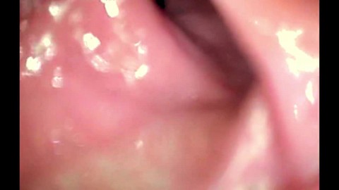 darshan barot recommends How to suck on a tit