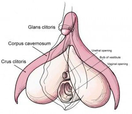 Best of The worlds biggest clit