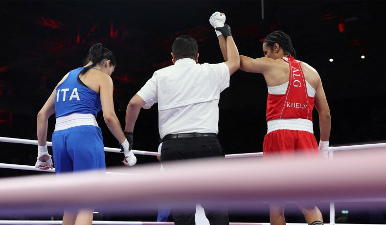 cindy sladden recommends Female Boxer Porn