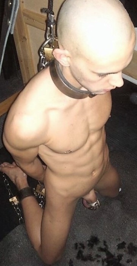 femdom slave bondage - tracy camilla johns nude keira knightley pron