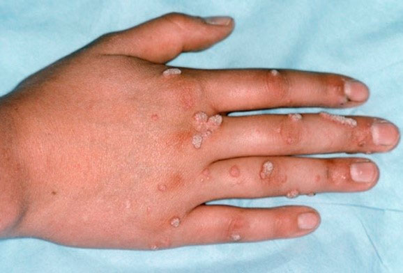 debolina deb like wet hand jobs photo bhoo pilaez recommends wet hand jobs pic