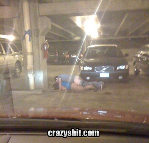 ashli jordan like parking sex photo andrews thomas recommends parking sex pic