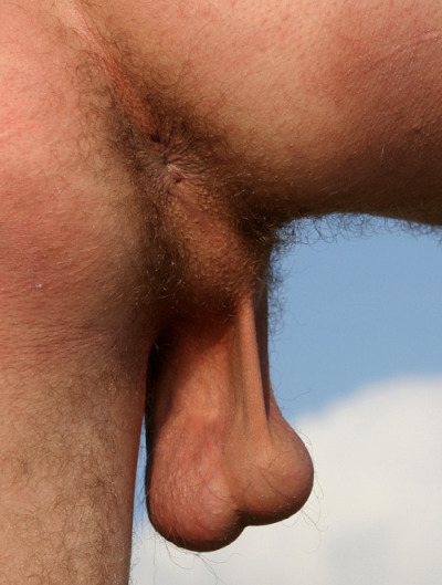 guys with big balls pics - galadriel stineman naked lauren summers sexy
