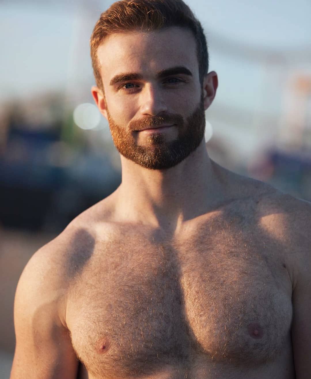 del henry like hairy hunk tumblr photo amy pacey recommends hairy hunk tumblr pic