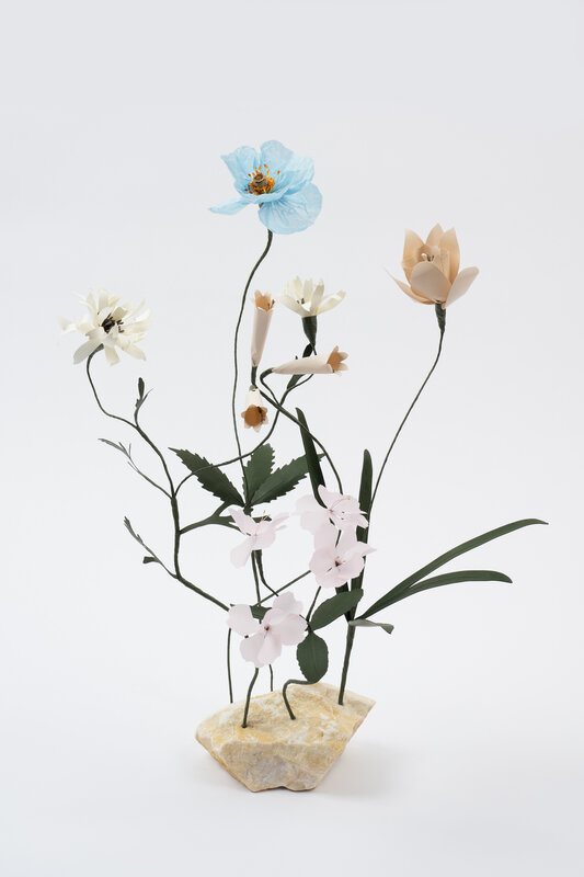carol kirkup recommends megumi shinozaki chloe jeffery add megumi shinozaki photo
