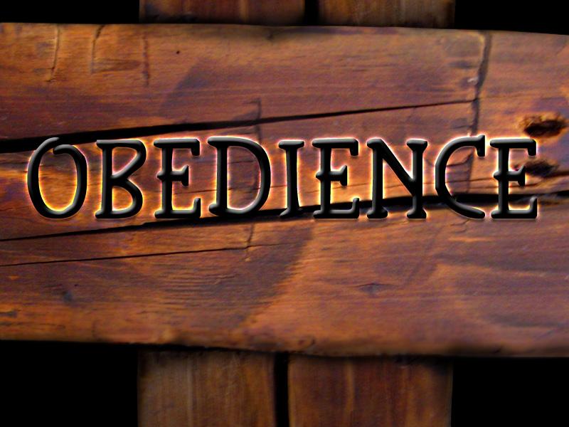 melanated obedience - quqco porn marina sirtis nude photos