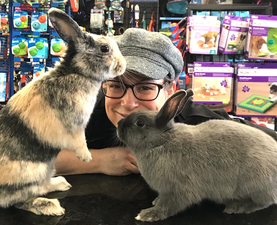 michelle rabbit videos - zhu zhu nude best leaked videos
