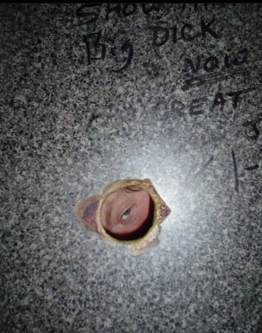 Nearest Glory Hole blowjob edit carissa page recommends Nearest Glory Hole