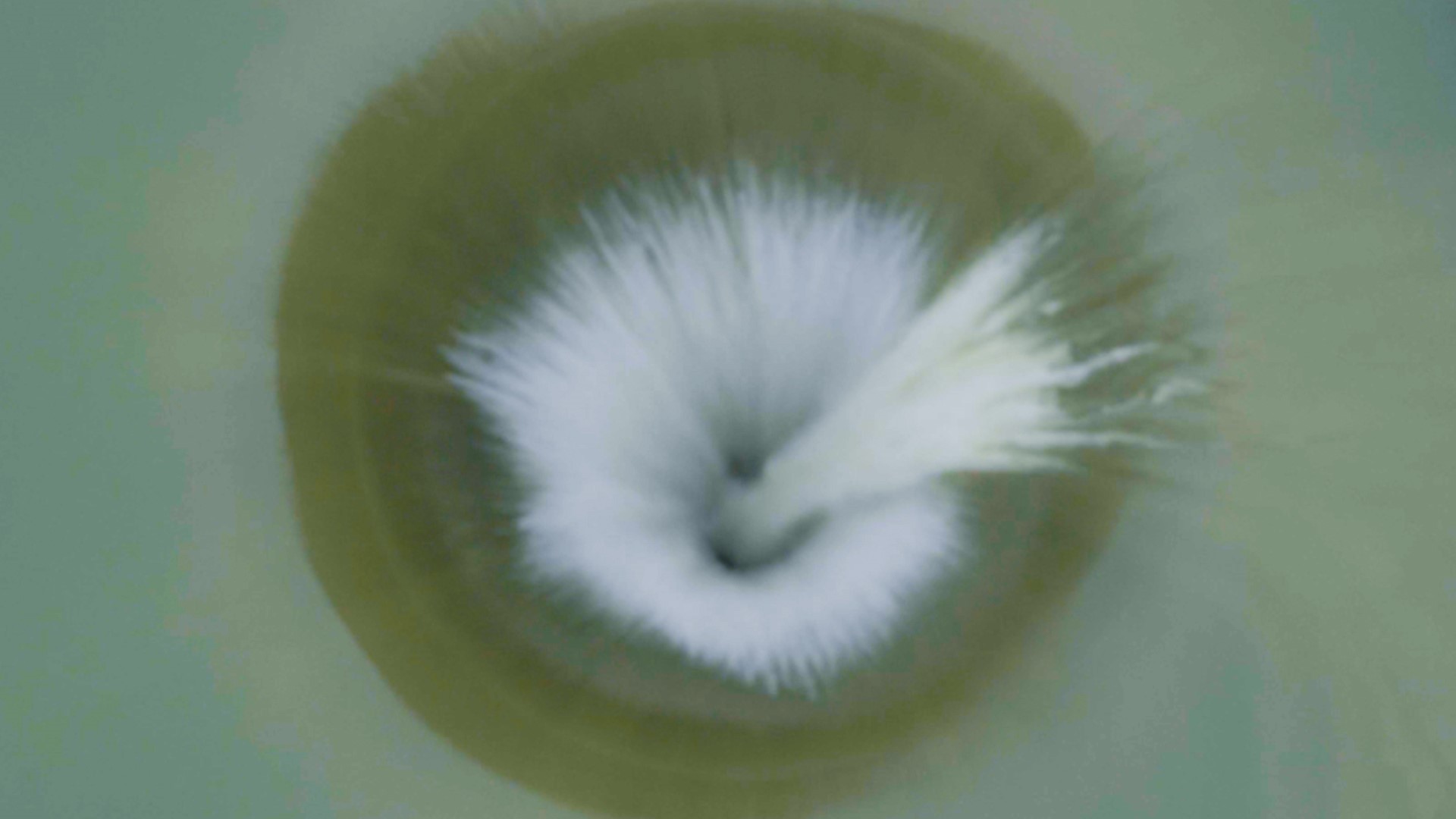 augustus john ko calantuan like nearest glory hole photo akinseye temitope recommends nearest glory hole pic