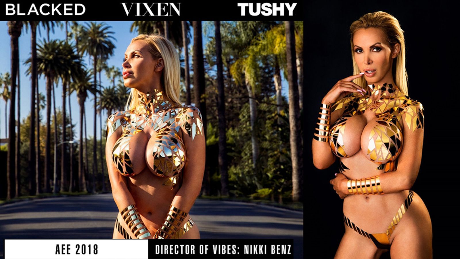 nikki benz blacked and swapping nikki benz blacked