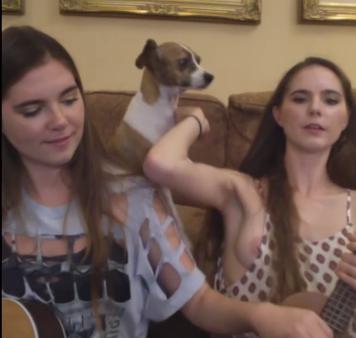 david r delong recommends nip slip youtubers pic