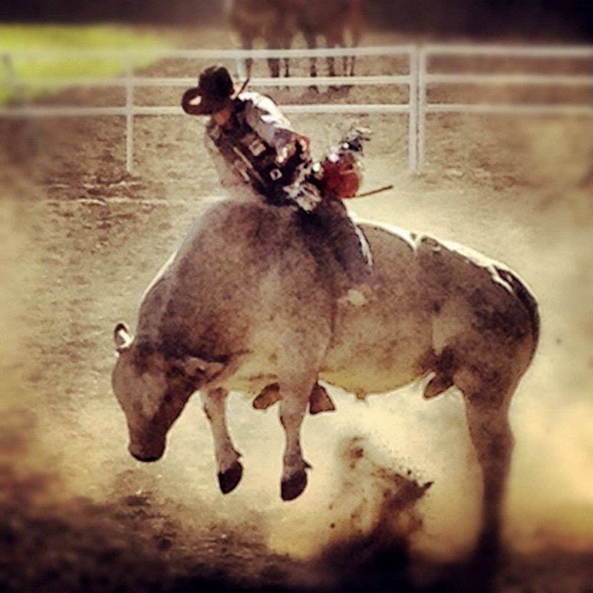 nude bull riding - jamie big tits super girl xxx